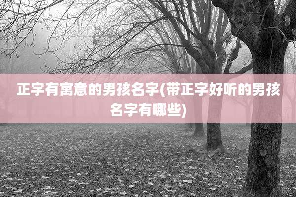 正字有寓意的男孩名字(带正字好听的男孩名字有哪些)