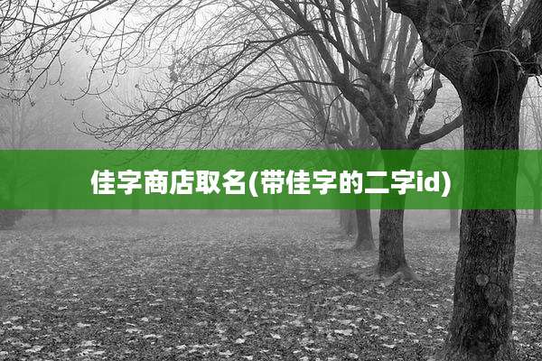 佳字商店取名(带佳字的二字id)