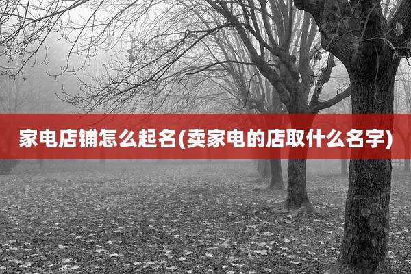 家电店铺怎么起名(卖家电的店取什么名字)