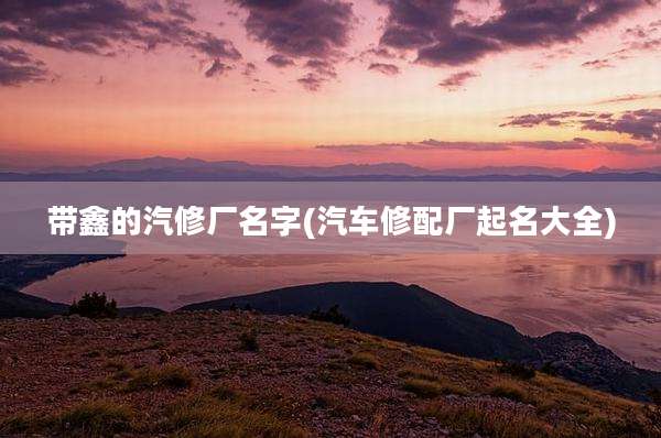 带鑫的汽修厂名字(汽车修配厂起名大全)