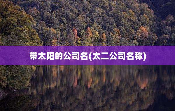 带太阳的公司名(太二公司名称)