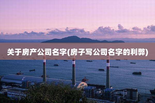 关于房产公司名字(房子写公司名字的利弊)