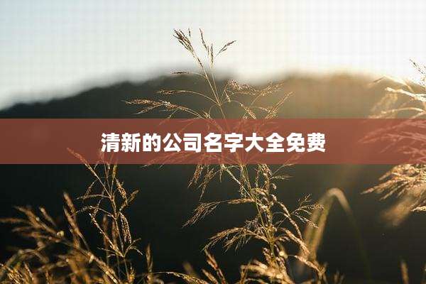 清新的公司名字大全免费