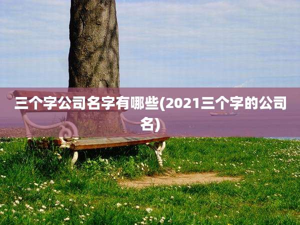 三个字公司名字有哪些(2021三个字的公司名)
