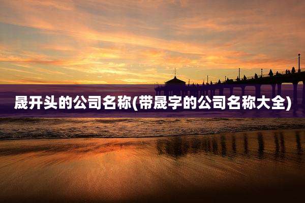 晟开头的公司名称(带晟字的公司名称大全)