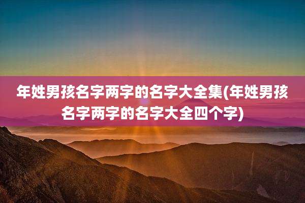 年姓男孩名字两字的名字大全集(年姓男孩名字两字的名字大全四个字)