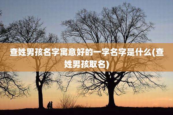 查姓男孩名字寓意好的一字名字是什么(查姓男孩取名)