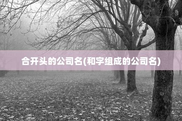 合开头的公司名(和字组成的公司名)