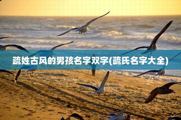疏姓古风的男孩名字双字(疏氏名字大全)