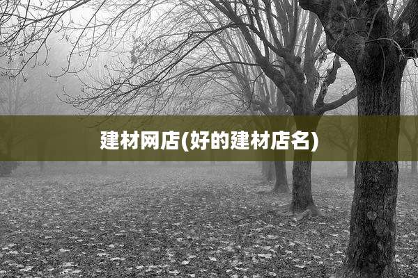 建材网店(好的建材店名)