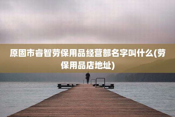 原固市睿智劳保用品经营部名字叫什么(劳保用品店地址)