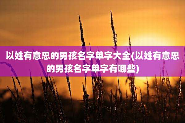 以姓有意思的男孩名字单字大全(以姓有意思的男孩名字单字有哪些)