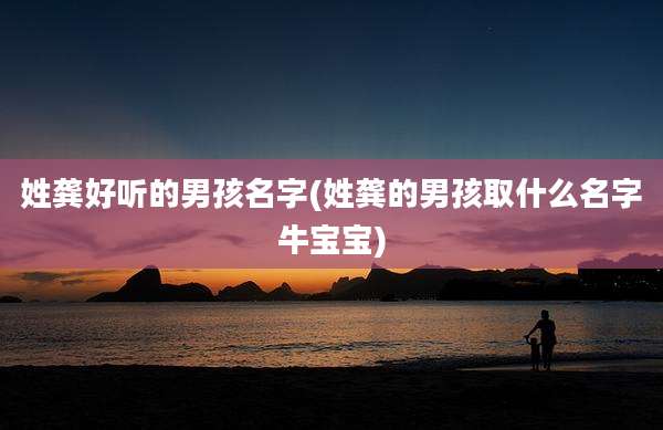姓龚好听的男孩名字(姓龚的男孩取什么名字牛宝宝)