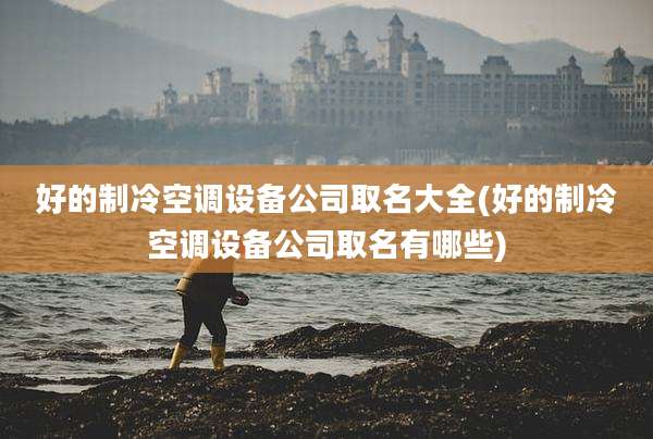 好的制冷空调设备公司取名大全(好的制冷空调设备公司取名有哪些)