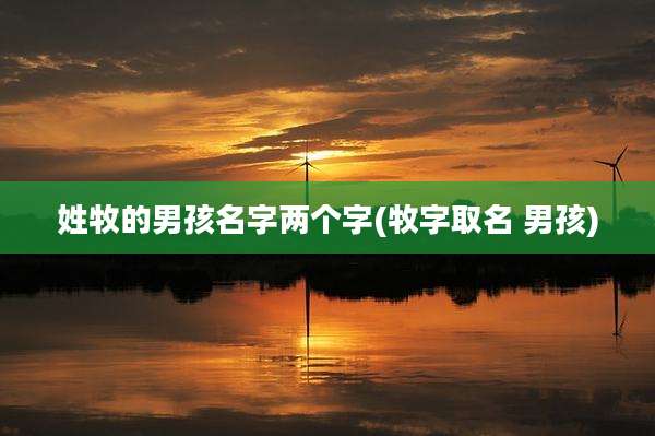 姓牧的男孩名字两个字(牧字取名 男孩)