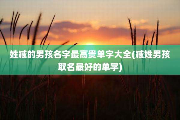 姓臧的男孩名字最高贵单字大全(臧姓男孩取名最好的单字)