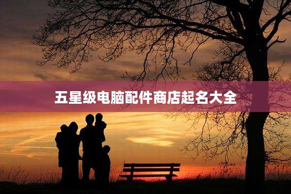 五星级电脑配件商店起名大全