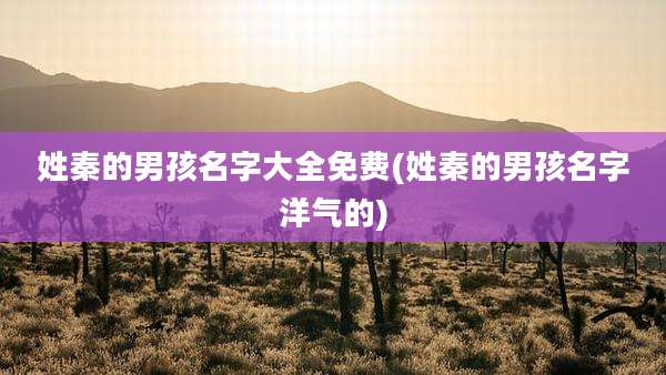 姓秦的男孩名字大全免费(姓秦的男孩名字洋气的)