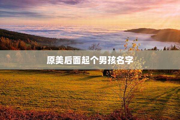 原美后面起个男孩名字