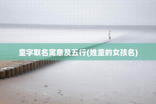 童字取名寓意及五行(姓童的女孩名)