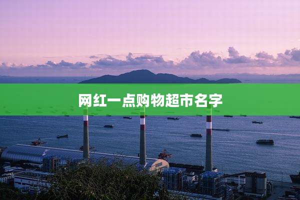 网红一点购物超市名字