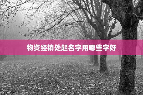 物资经销处起名字用哪些字好