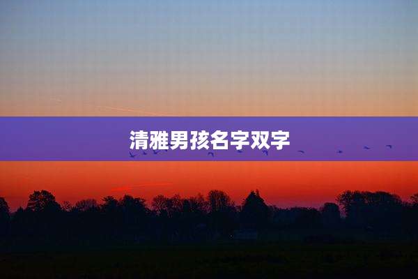 清雅男孩名字双字