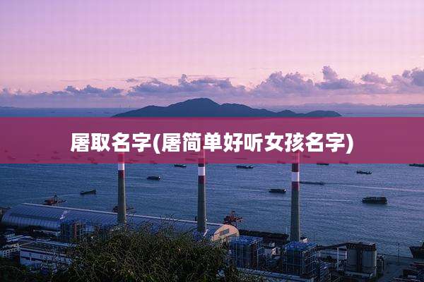 屠取名字(屠简单好听女孩名字)