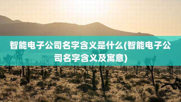 智能电子公司名字含义是什么(智能电子公司名字含义及寓意)