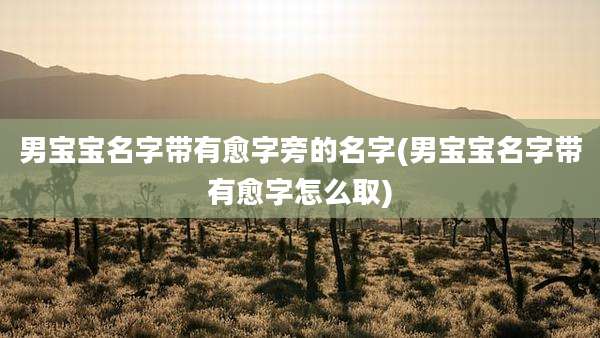 男宝宝名字带有愈字旁的名字(男宝宝名字带有愈字怎么取)