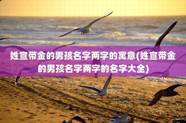 姓宣带金的男孩名字两字的寓意(姓宣带金的男孩名字两字的名字大全)
