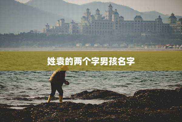 姓袁的两个字男孩名字
