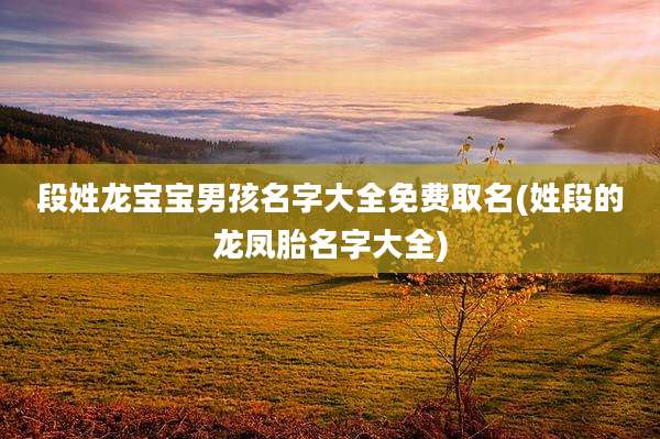 段姓龙宝宝男孩名字大全免费取名(姓段的龙凤胎名字大全)