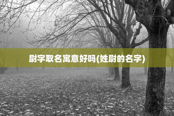 尉字取名寓意好吗(姓尉的名字)