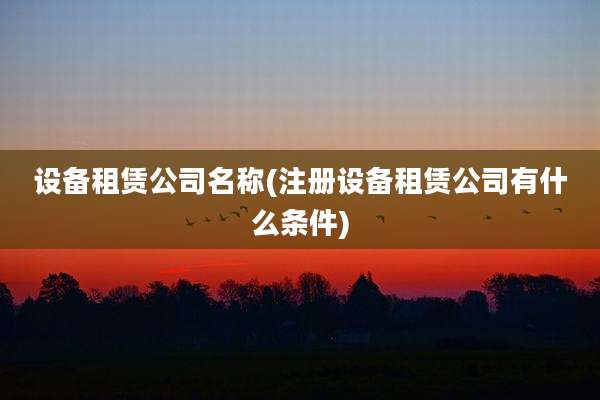 设备租赁公司名称(注册设备租赁公司有什么条件)