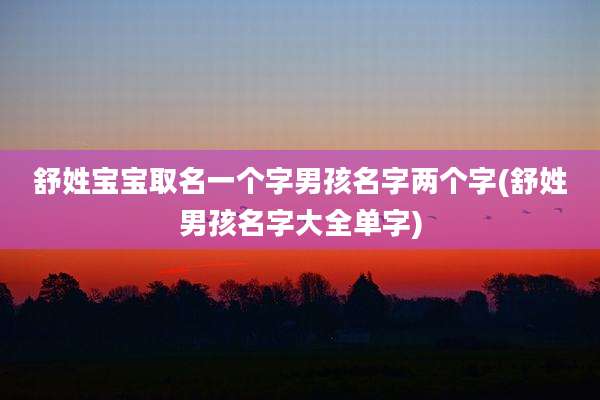 舒姓宝宝取名一个字男孩名字两个字(舒姓男孩名字大全单字)