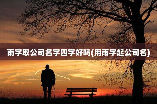 雨字取公司名字四字好吗(用雨字起公司名)
