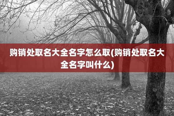 购销处取名大全名字怎么取(购销处取名大全名字叫什么)