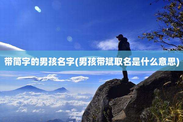 带简字的男孩名字(男孩带斌取名是什么意思)