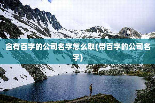含有百字的公司名字怎么取(带百字的公司名字)