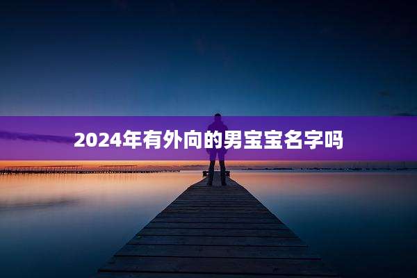 2024年有外向的男宝宝名字吗