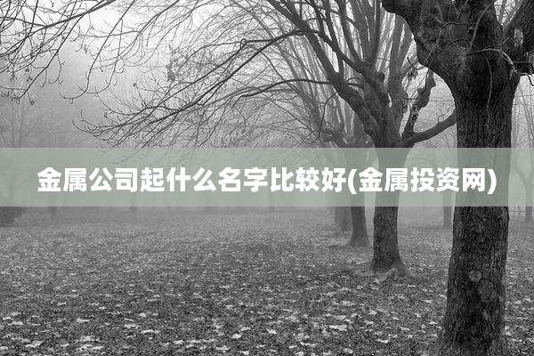金属公司起什么名字比较好(金属投资网)
