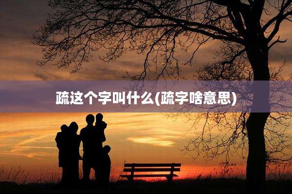 疏这个字叫什么(疏字啥意思)