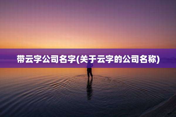 带云字公司名字(关于云字的公司名称)