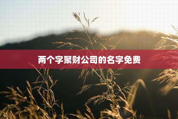 两个字聚财公司的名字免费