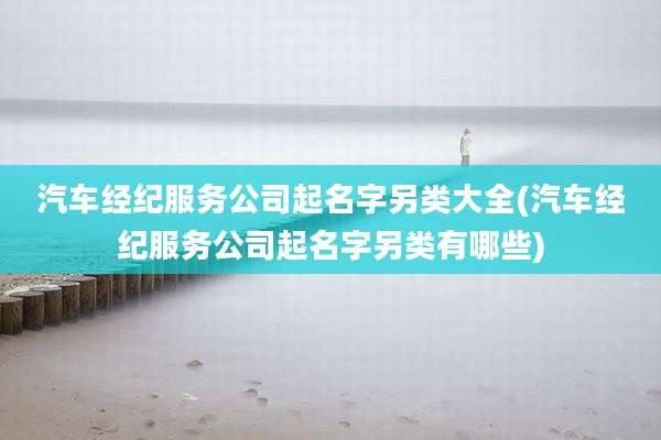 汽车经纪服务公司起名字另类大全(汽车经纪服务公司起名字另类有哪些)