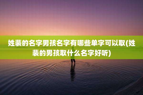 姓裴的名字男孩名字有哪些单字可以取(姓裴的男孩取什么名字好听)