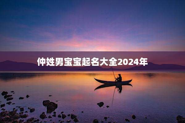 仲姓男宝宝起名大全2024年