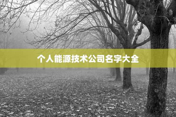 个人能源技术公司名字大全