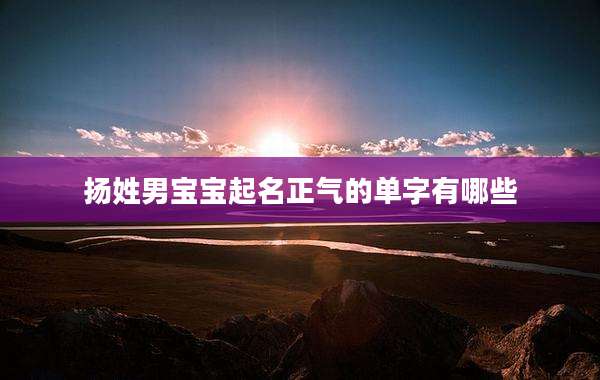 扬姓男宝宝起名正气的单字有哪些